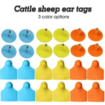 20PCS 4x5 cm 3-Цветен Етикет За Идентификация на Домашен Добитък TPU Animal Precision Ear Tag Големи Ферми Професионален Едър Рогат Добитък Свине Овце на Разположение