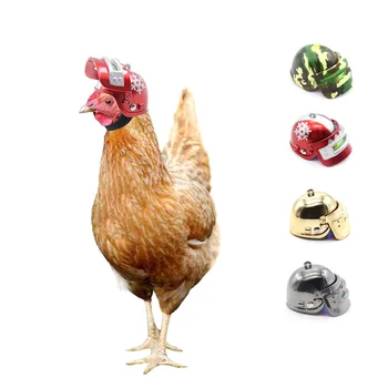 1БР. Забавен каска с пилешко месо, птича каска за предпазване от слънце и дъжд, предпазни средства за малки домашни любимци, прекрасни аксесоари за домашни любимци.